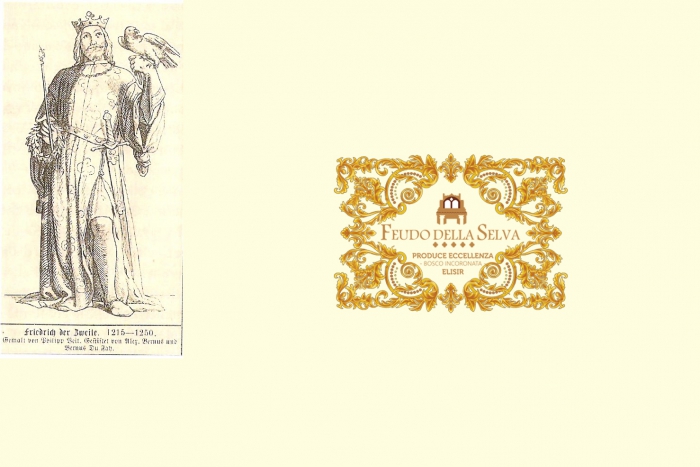 Federico II e le domus solaciorum
